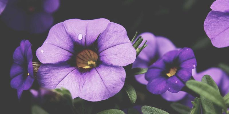 攻克铝材焊接难题：气孔与裂纹缺陷成因深度解析及FSW等先进工艺应用