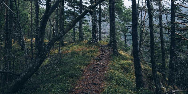 旭恒铝材深度解析：门窗幕墙铝型材焊接接头应力腐蚀开裂（SCC）评估与防护工艺