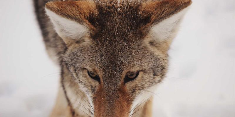 旭恒铝材解析：门窗幕墙用铝型材表面喷涂技术，粉末喷涂与氟碳喷涂如何选择？
