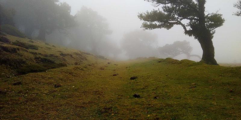 铝型材薄壁零件加工变形控制：建筑铝材加工中的装夹策略与切削路径优化实践