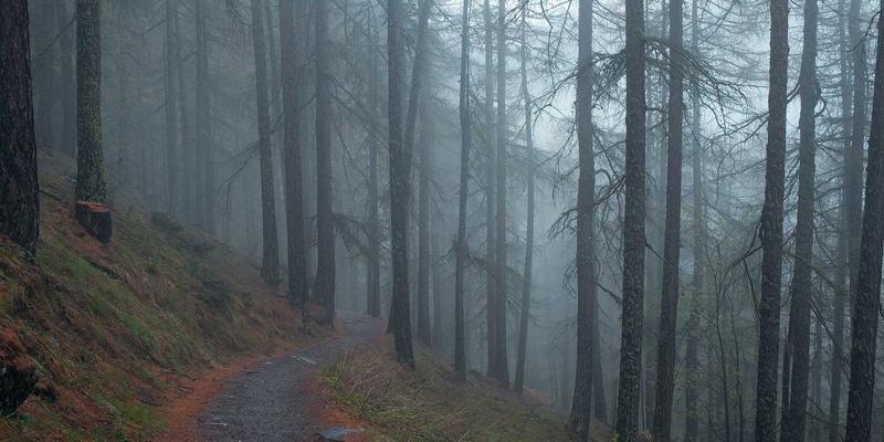 铝材加工60年：从建筑材料到精密铝型材的技术演进与行业展望