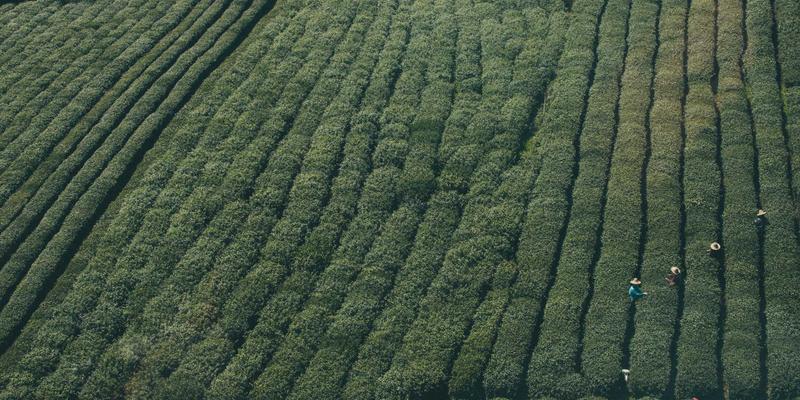 铝材加工88：揭秘铝型材制造工艺与旭恒铝材的创新实践