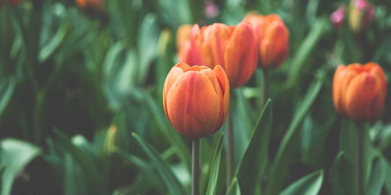 铝材加工异种铝合金焊接界面组织演变与性能优化