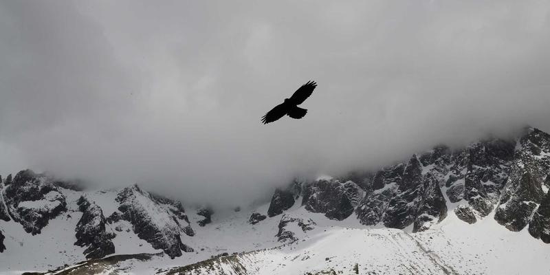 铝材精密加工新突破：在线测量与自适应补偿系统如何重塑建筑材料品质标准