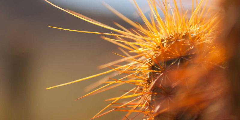 门窗幕墙铝材加工新革命：机器人上下料与在线检测集成自动化产线